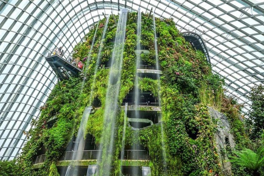 Gardens by the Bay Ticket to Cloud Forest, Flower Dome, Supertree 4