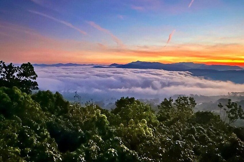 Da Lat Early Morning Cloud Hunting and Sunrise Tour 4