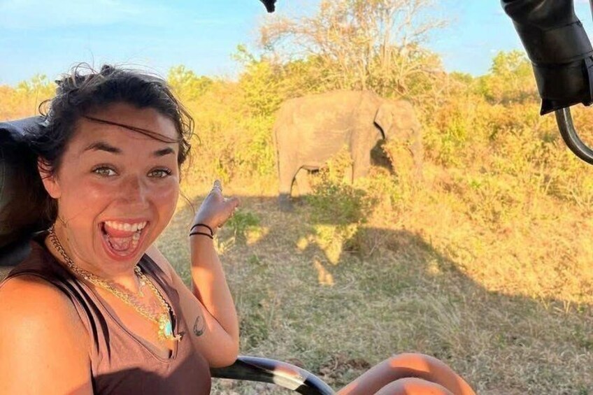 Una persona in un veicolo, con un elefante sullo sfondo. 5