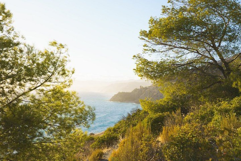 Hiking Tour of the Natural Area of Maro-Cerro Gordo 1