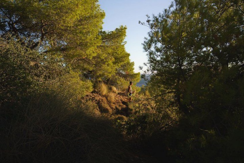 Hiking Tour of the Natural Area of Maro-Cerro Gordo 3