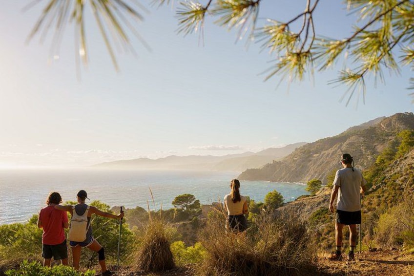 Hiking Tour of the Natural Area of Maro-Cerro Gordo 4