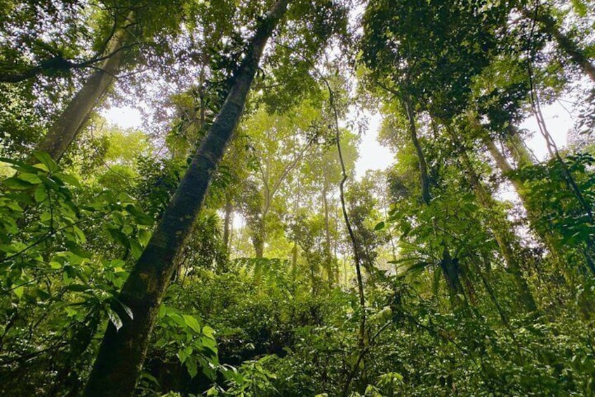A Day Trek at Cuc Phuong National Park, Primate, Bear Sanctuary 2