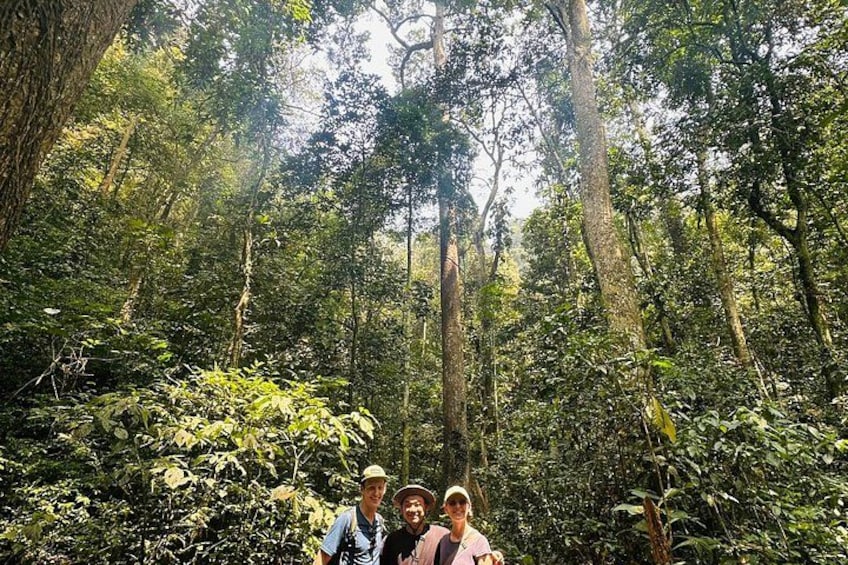 A dense forest with tall trees and lush greenery. 1