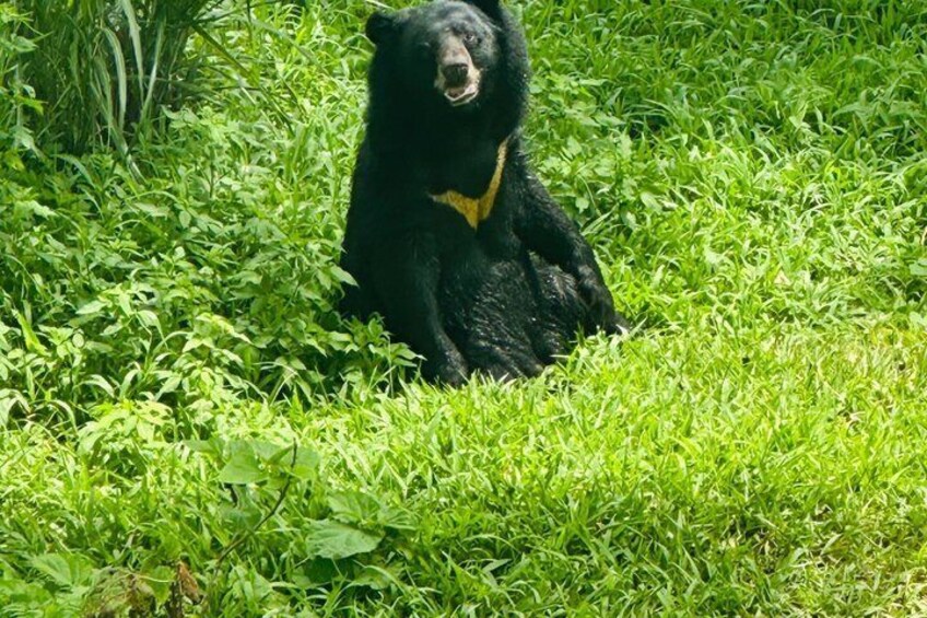 Ninh Binh: Day Trek at Cuc Phuong National Park, Bear Sanctuary 4