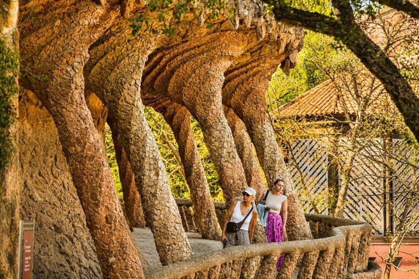Park Guell Skip-the-Line Guided Tour in Barcelona 2