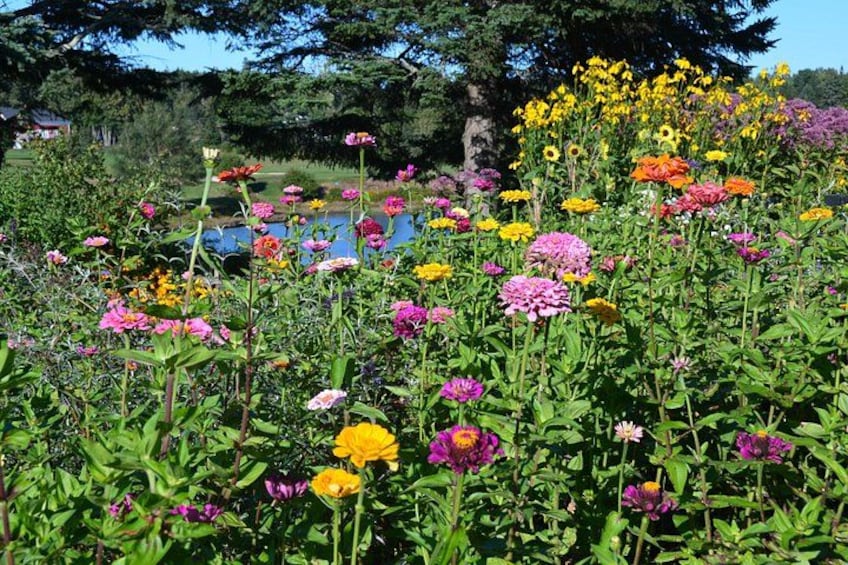 A garden with various colorful flowers and a lake in the background. 3