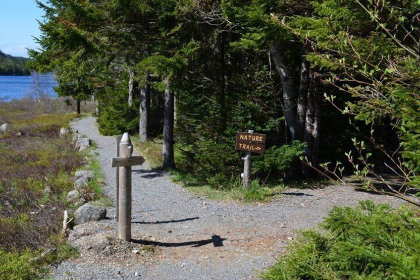 3 Hour with Somes Sound fiord instead of Cadillac 4