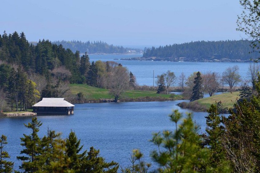 A lake with a small dock, surrounded by trees and a distant shoreline. 2