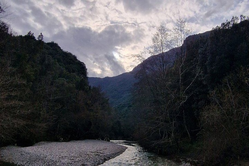 A river flowing through a valley with dense forest on both sides. 2