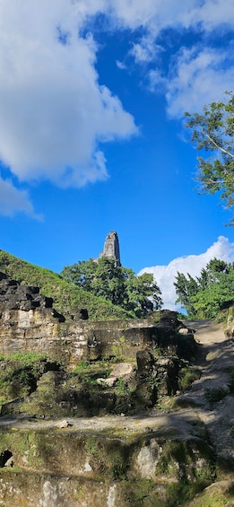 Picture 10 for Activity Tikal from Hotel Camino Real El Remate - All Inclusive 3