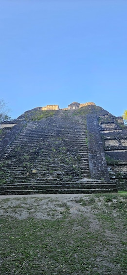 Picture 15 for Activity Tikal from Hotel Camino Real El Remate - All Inclusive 5