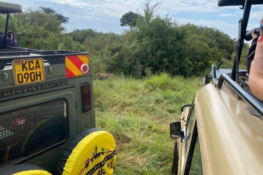 Un véhicule de safari avec une plaque d’immatriculation portant le numéro « KCA 090H » et un pneu jaune orné d’un logo. 2