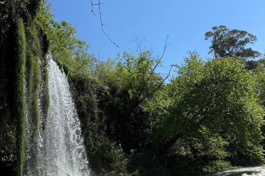 Una cascata che si getta da una scogliera ricoperta di muschio, circondata da fitta vegetazione verde. 5