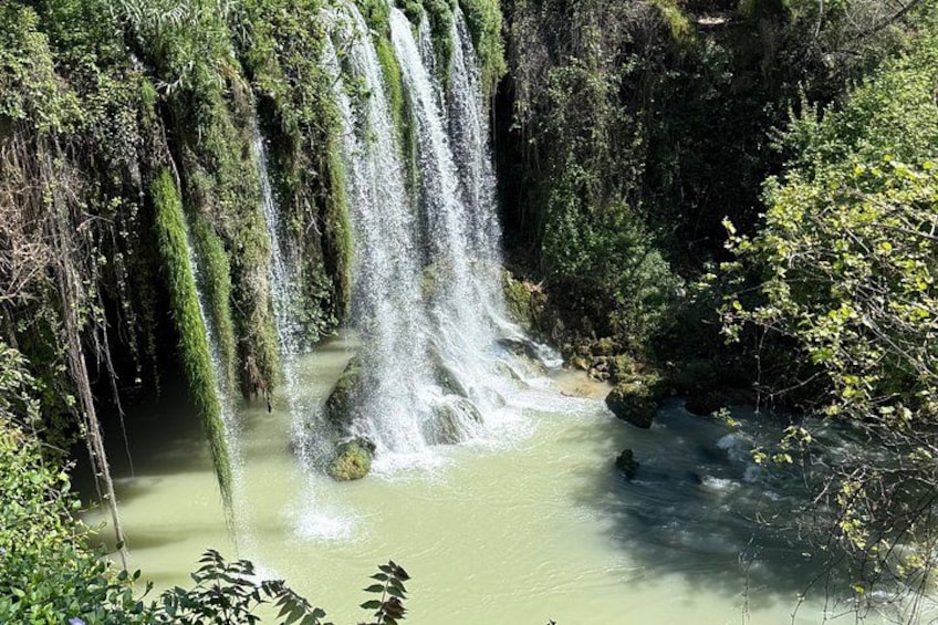 Una cascata che si getta in un fiume, circondato da vegetazione lussureggiante. 3