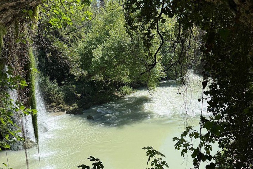 Un fiume che scorre attraverso una zona boschiva, ricca di vegetazione fitta e una cascata. 4