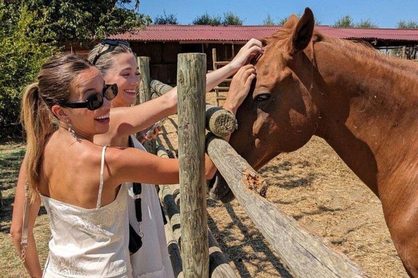 Tuscany Horseback Riding and Winery Tour with Lunch 4