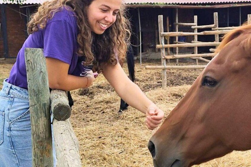 Tuscany Horseback Riding and Winery Tour with Lunch 3