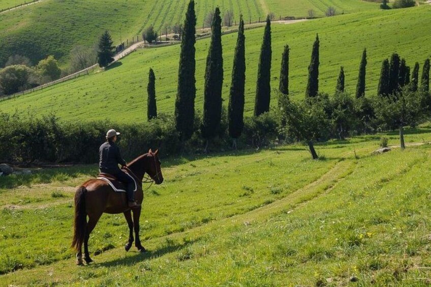 Tuscany Horseback Riding and Winery Tour with Lunch 2