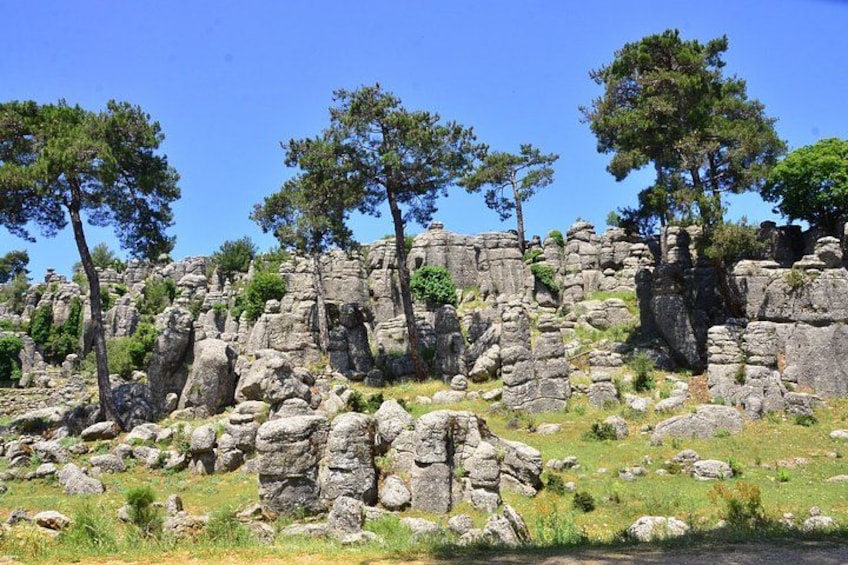 Un paisaje rocoso con árboles dispersos y cielo despejado. 2