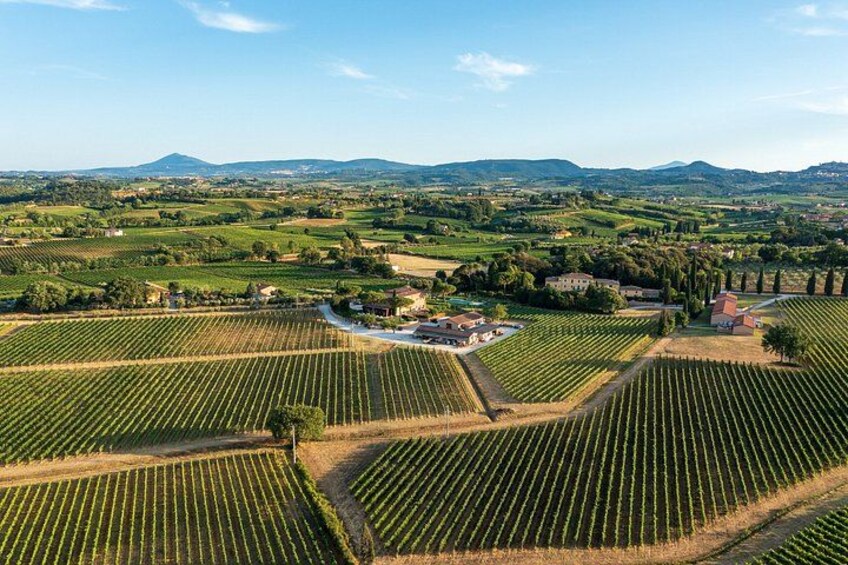 Wine Tasting and Pinsa Lunch in Montepulciano 3