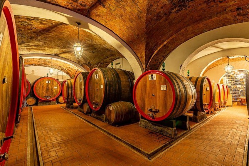 Wine Tasting and Pinsa Lunch in Montepulciano 4