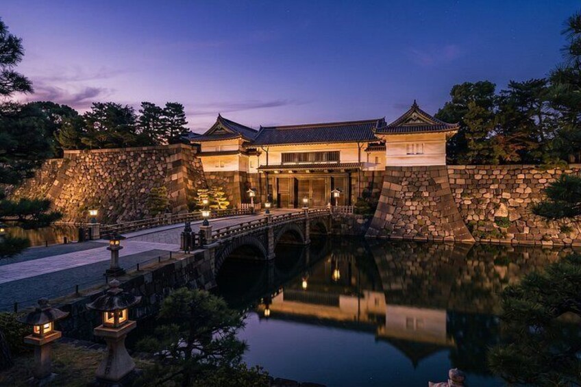 Tokyo Private Tour: teamLab Borderless & Imperial Palace 4
