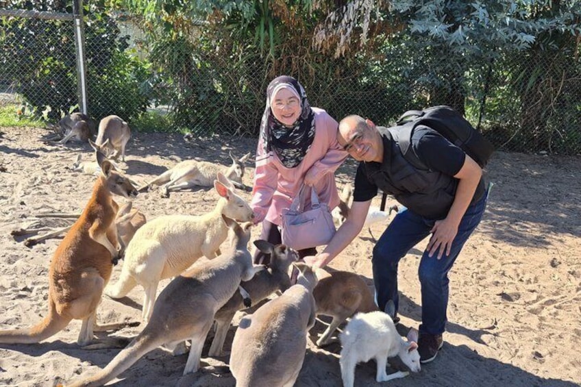 Australian Wildlife and Wine Tasting 3