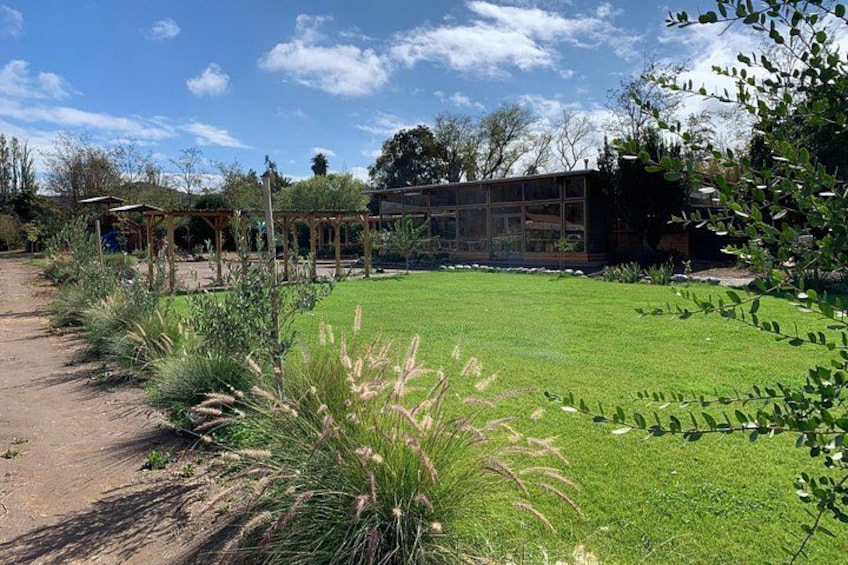 A garden with a lawn, a wooden pergola, and a glass greenhouse. 3