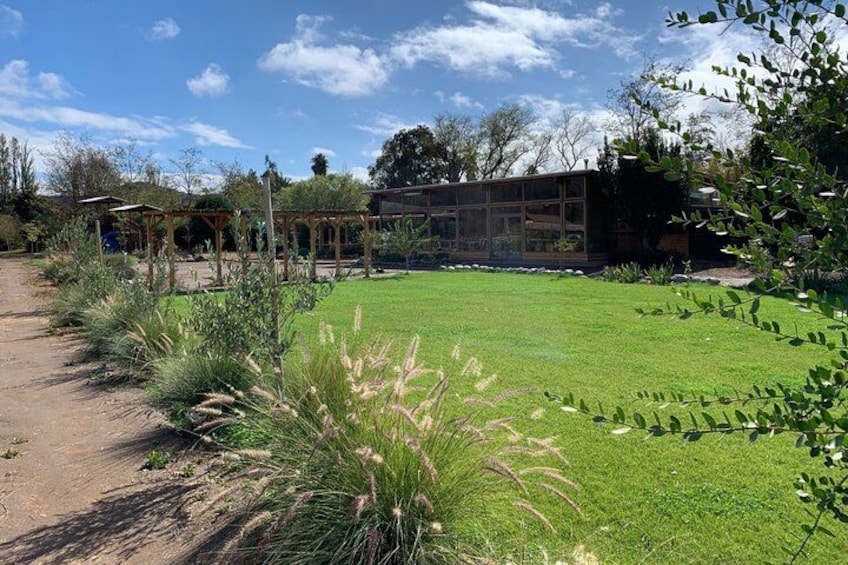 A garden with a wooden pergola, a glass greenhouse, and a variety of plants. 4
