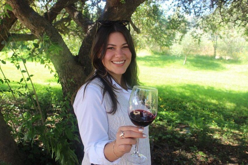 Organic Vineyard, Wine, Pisco, Cheese and Flame Farm Tour 4