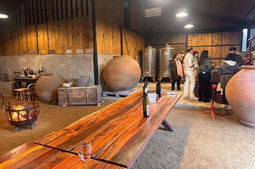 Organic Vineyard, Wine, Pisco, Cheese and Flame Farm Tour 5