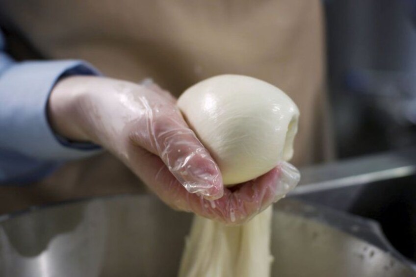 Baltimore Mozzarella Cheese Making Class with Local Chef 2