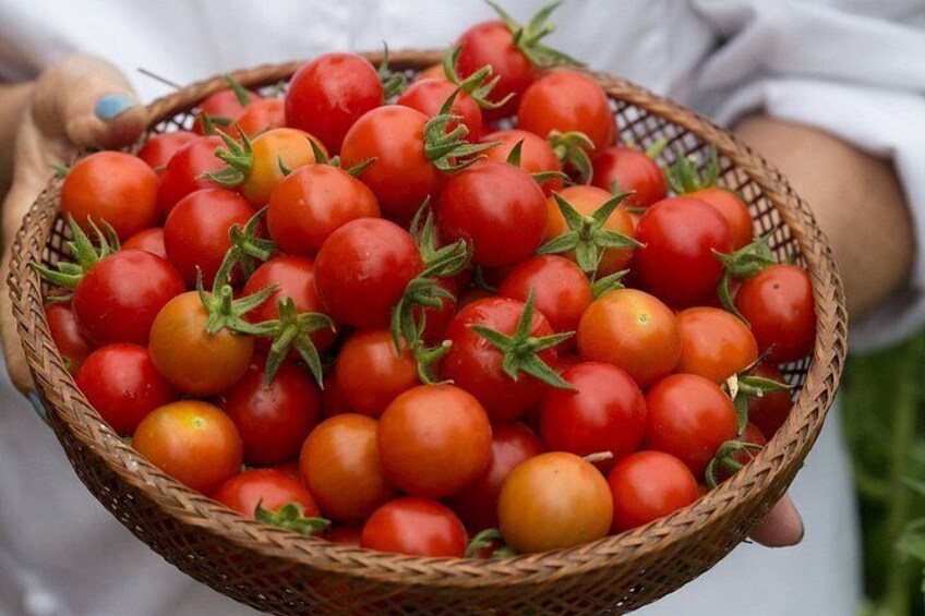 A basket filled with cherry tomatoes. 3