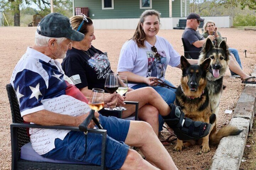 En gruppe mennesker sidder på stole udendørs, med en hund i forgrunden. 4