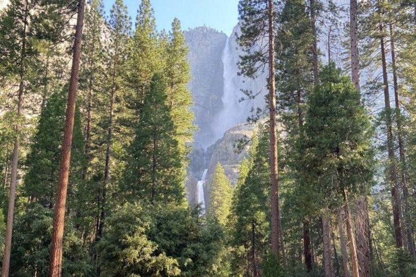 San Francisco to Kings Canyon and Yosemite 2 Day Tour 3