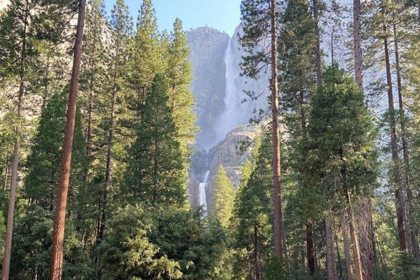 San Francisco to Kings Canyon and Yosemite 2 Day Tour 3