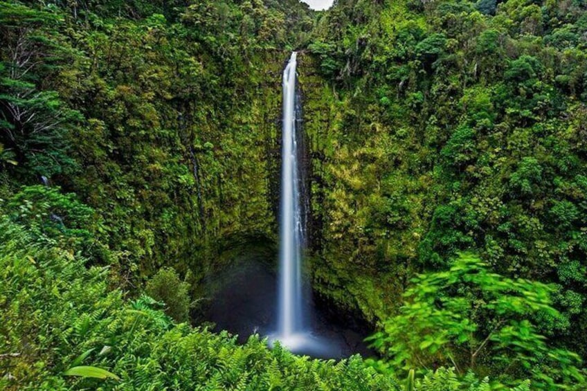 Big Island: Hawaii Volcanoes and Hilo Private Adventure 2