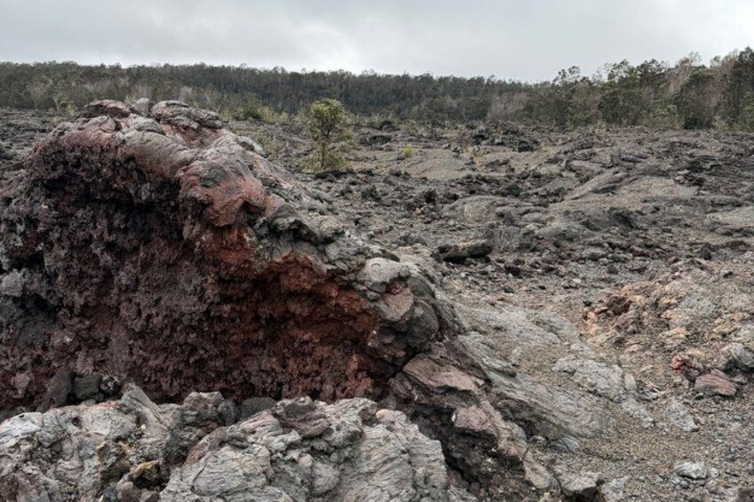 Big Island: Hawaii Volcanoes and Hilo Private Adventure 5