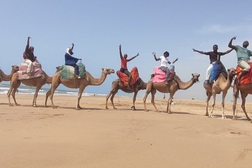Camel Ride in Tangier 4