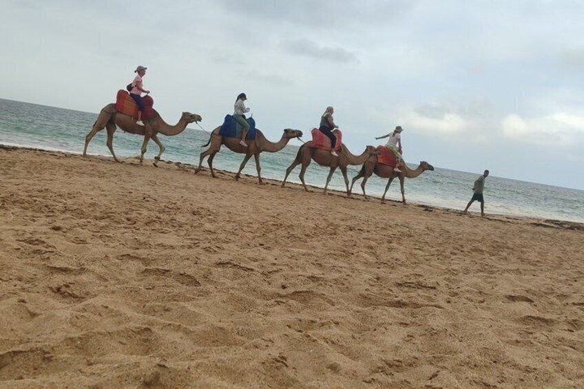 Camel Ride in Tangier 5