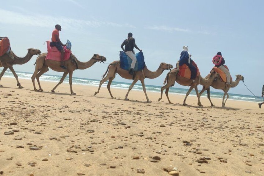 Camel Ride in Tangier 2