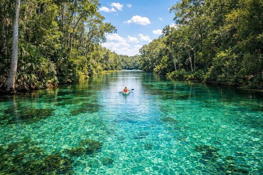 A clear river surrounded by dense green forest. 4