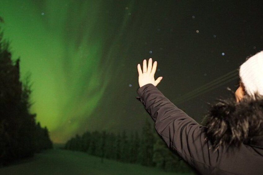 A person pointing at the night sky, with the aurora borealis visible above. 4