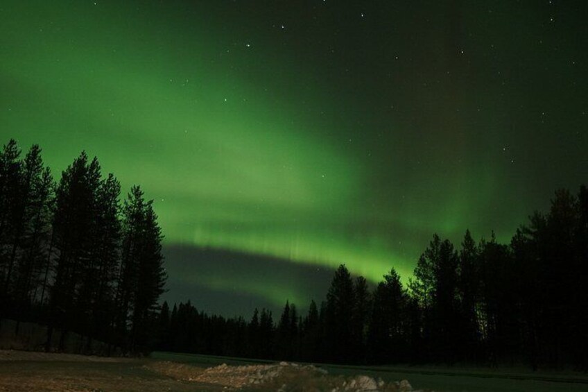 A night sky with the aurora borealis over a forest. 2