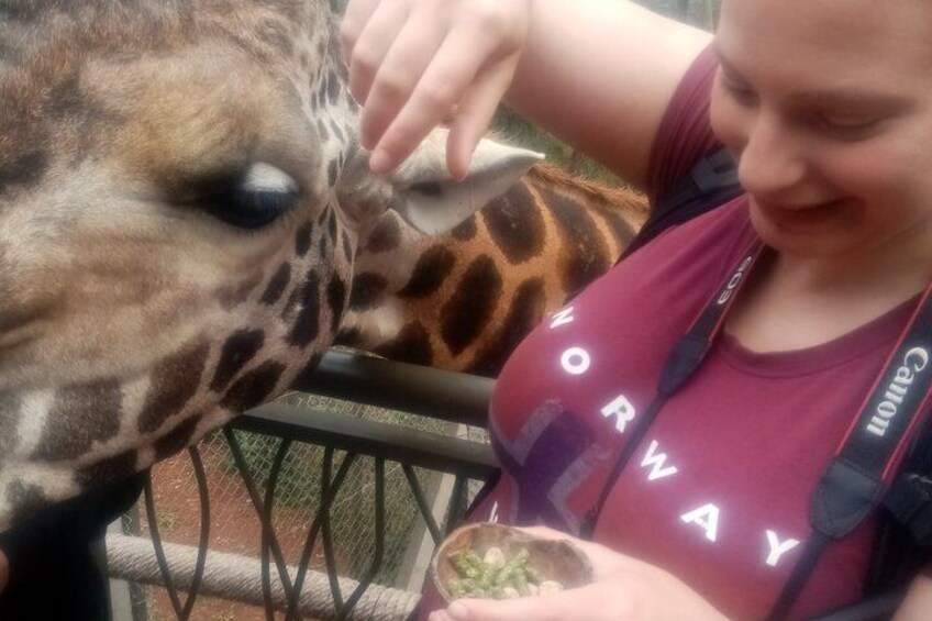 Karen Blixen Museum Giraffe Center & Maasai Market Shopping Tour 2
