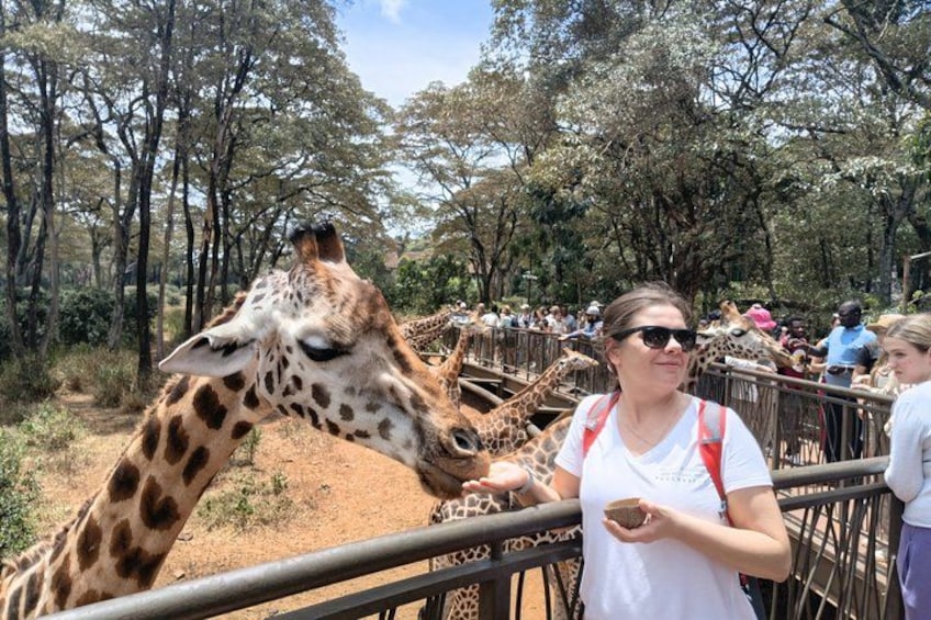 A giraffe feeding at a zoo enclosure with visitors in the background. 3