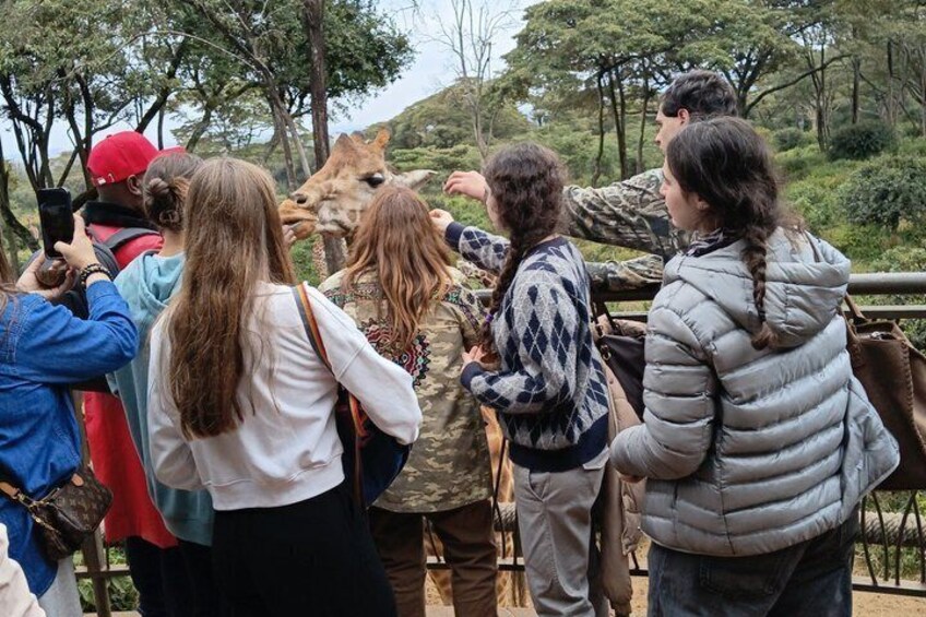 A group of people observing a giraffe in a natural setting. 3