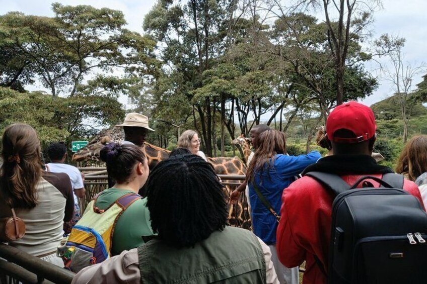 Karen Blixen Museum Giraffe Center & Maasai Market Shopping Tour 4