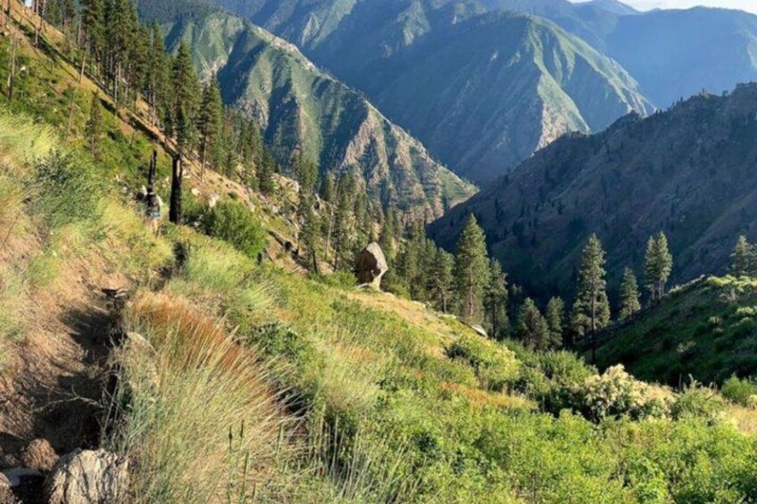 A mountainous landscape with dense forests and a clear sky. 2
